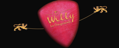 Willy et les Conquérants - Duo Musical Acoustique