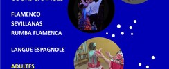 Association Bailar La Vida - MERCREDI & VENDREDI : COURS DE DANSE FLAMENCO SEVILLANAS