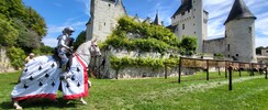 Joutes équestres au Château du Rivau (37)