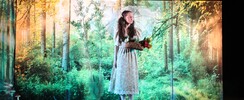 Cie Max'music - La Légende du Sorcier de la Forêt (LSF) / spectacle musical
