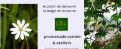 Clownôcontes -