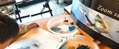 Stages dessin/peinture à l'huile enfants/ados