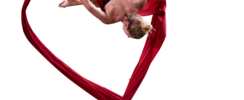 Laetitia Robert - Acrobate aérienne Tissu aérien. Trapèze. Echassière