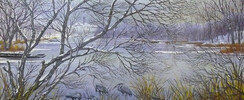 Animation : Animusée-vous : les arts, les animaux et les hom