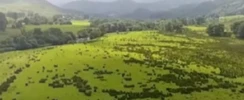 FILM - ÉCOSSE, TERRES DE LÉGENDES