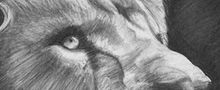 Stage de portrait animalier au fusain