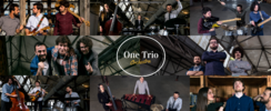 One Trio Orchestra - Trio Multi-Styles