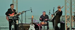 Chris et Cows - Jazz, swing, blues, chansons pour enfants.