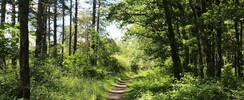 Parc Naturel Départemental - Les Dolines de Limère