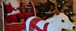 DB Communication - Prestation Père Noël