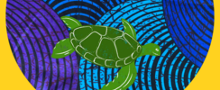 ROSIE la tortue