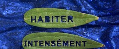 Habiter intensément (CHANTIER DES AUTEUR·ICES)