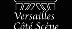 Recherche professeurs de Comédie Musicale, Cirque et Magie