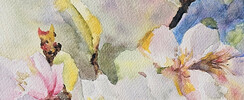 Stage d'aquarelle - peindre les arbres en fleur