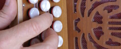 Florence L - cours d'accordéon diatonique