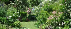 Jardin personnel d'André Eve