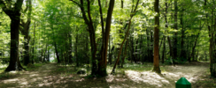 Bois de Margnat