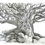 Bernard Maignan - Cours de dessin et peinture 