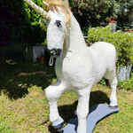 Donne licorne 