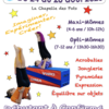 Hop Là! Circus : stages de cirque d'été