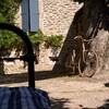 Stage d’été en immersion de jeu Théâtre et Cinéma
