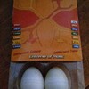  Paire de Egg Shakers 