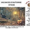 STAGE DES VACANCES D'AUTOMNE