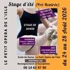 STAGE DE DANSE CLASSIQUE - JAZZ - CONTEMPORAINE AOÛT 2026
