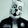 Chats d’amour / SHORTY’MAN