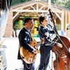 Sunny Side - Groupe de musique / Fanfare Rock, Blues, Chanson Française