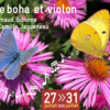 Stage de boha avec Arnaud Bibonne