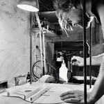 Luthier Alexis Meurice - Fabrique et répare vos instruments de musiqu