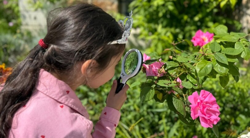 Jardin à la loupe