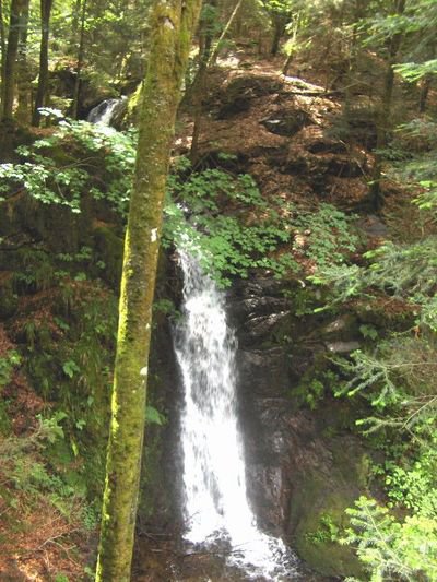 CASCADE DE LONGELIGOUTTE