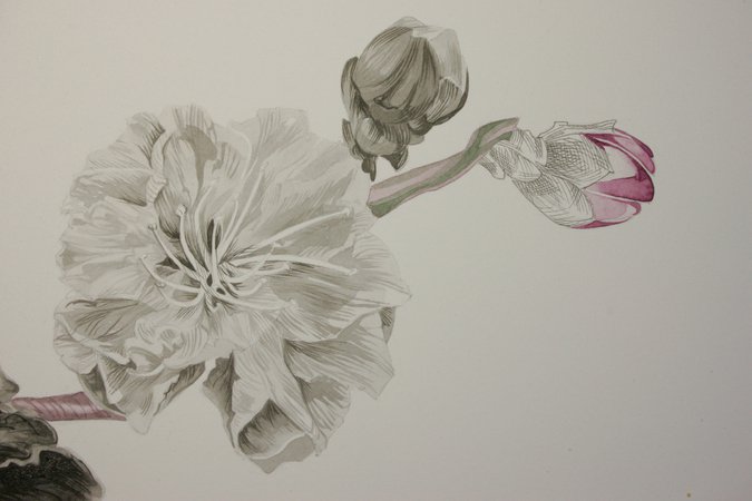 La Pierre et lEncre. Atelier - Cours de dessin et encre de Chine.