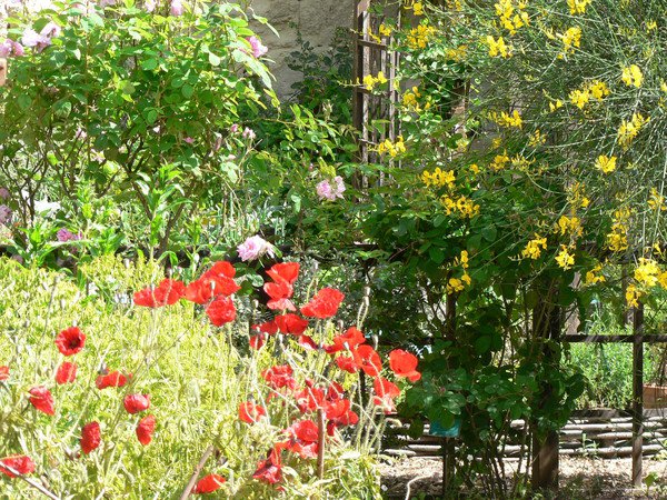 Le jardin Médiéval