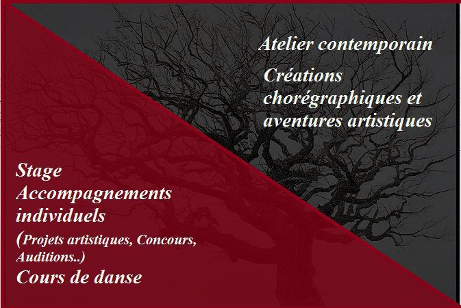 Atelier Danse Contempraine