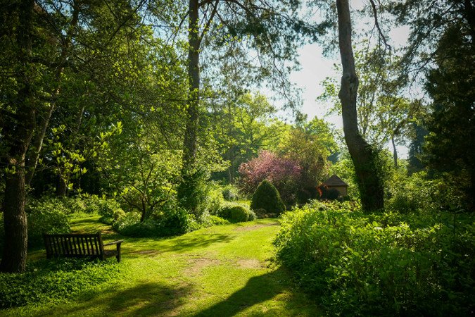 Belles Soirées d'été