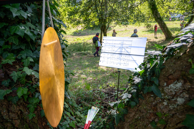 Concert d'oiseaux - Soundinitiative et Grégoire Lorieux
