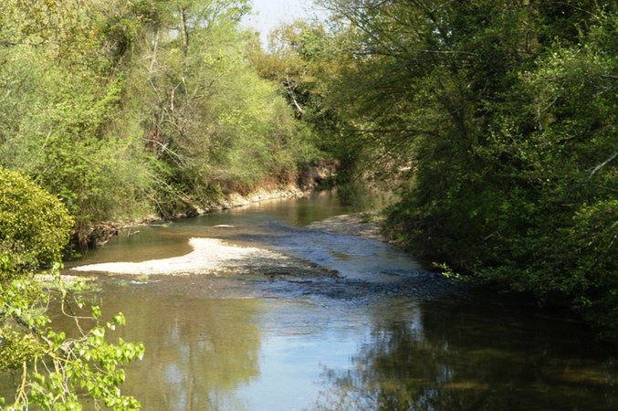 Les Chênaies de l'Adour