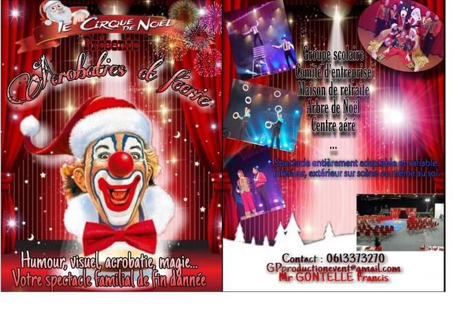 Le cirque de noel - Spectacle acrobatique et féerique 