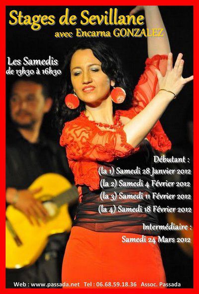 Sévillanes Stages Arles