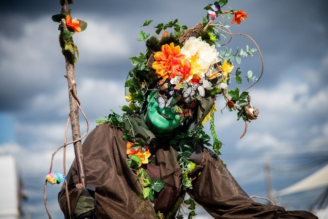 TERRAGONE  - Echassier - Dame Nature