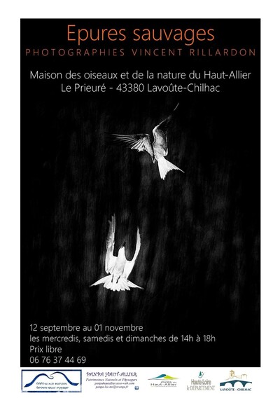 EPURES SAUVAGES, Photographies de Vincent RILLARDON 