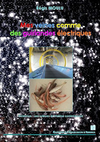 Mes veines comme des guirlandes électriques
