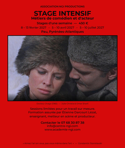 Studio NGI - Stage de théâtre