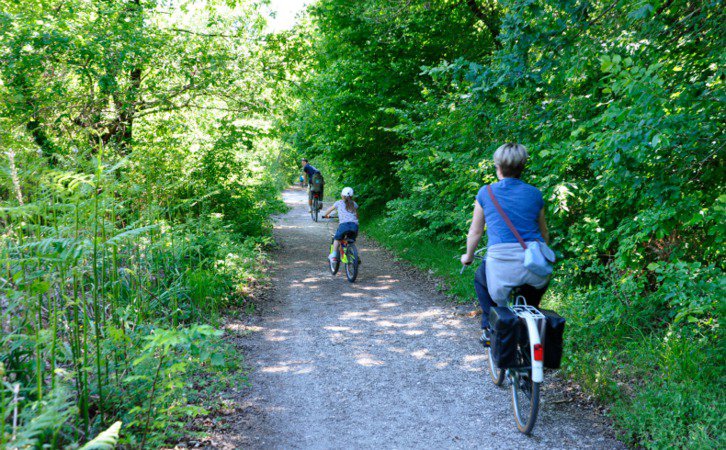 Bois du Déhès & Moulin du Moulinat