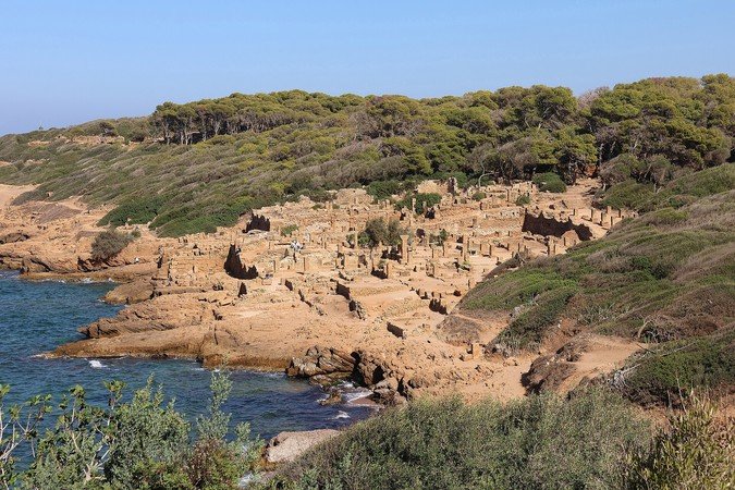 Noces et Retour à Tipasa 