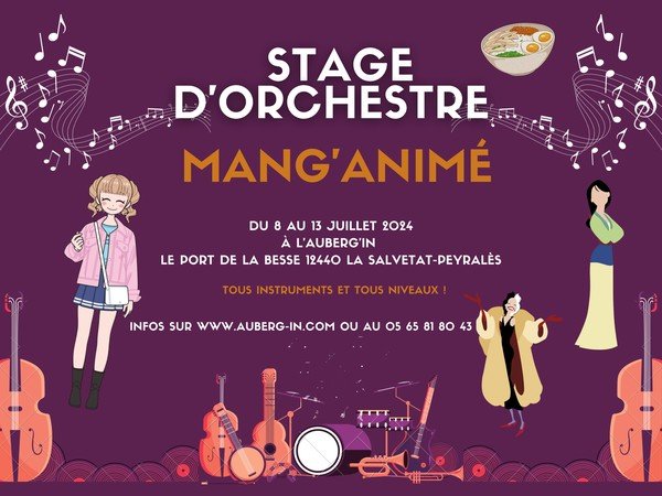 Stage d'orchestre Mang'Animé