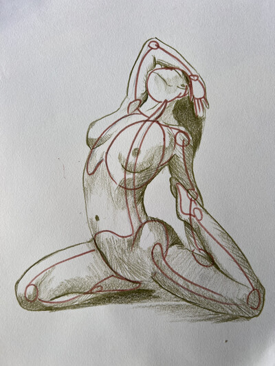 Dessin - l'anatomie en mouvement